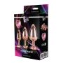 GLEAMING LOVE ROSE GOLD PLUG SET - 2