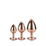 GLEAMING LOVE ROSE GOLD PLUG SET - 4