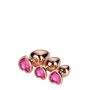 GLEAMING LOVE ROSE GOLD PLUG SET - 5