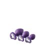 FLIRTS ANAL TRAINING KIT GEM STONE PURPLE - 3