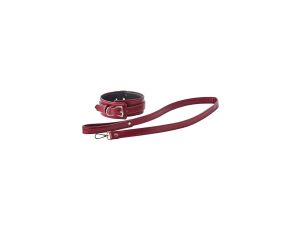 BLAZE ELITE COLLAR AND LEASH RED - image 2