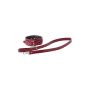 BLAZE ELITE COLLAR AND LEASH RED - 3