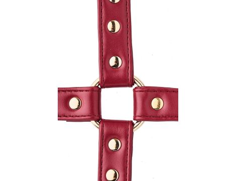 BLAZE ELITE HOGTIE RED - 4