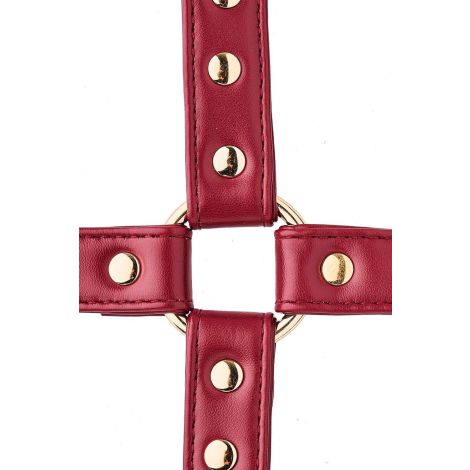 BLAZE ELITE HOGTIE RED - 4