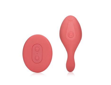 Panty Vibrator with Remote Control