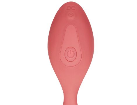 Panty Vibrator with Remote Control - 11