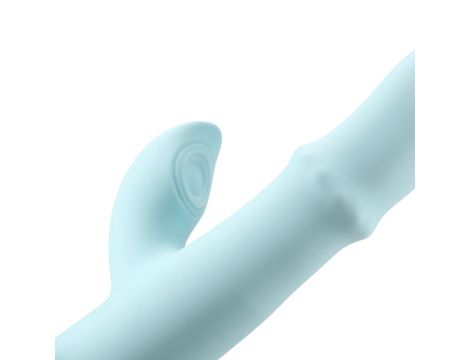 Pulse Wave and Up-and-Down Moving Ring Vibrator - 9