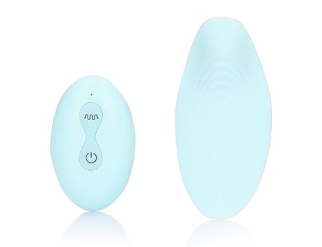 Panty Vibrator with Remote Control