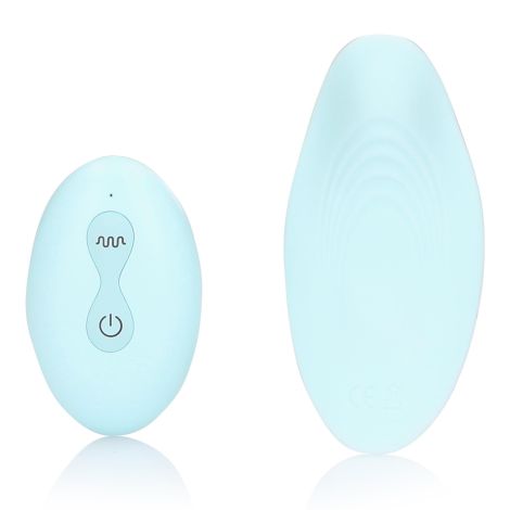 Panty Vibrator with Remote Control