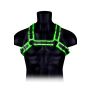 Buckle Bulldog Harness - GitD - Neon Green/Black - S/M - 2