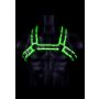 Buckle Bulldog Harness - GitD - Neon Green/Black - S/M - 5