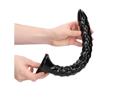 Scaled Anal Snake - 12''/ 30 cm - 3