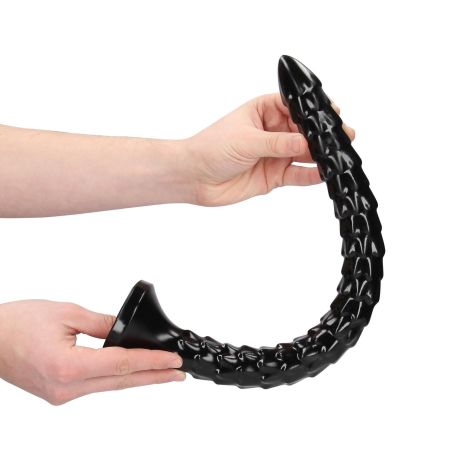 Scaled Anal Snake - 16''/ 40 cm - 3