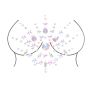 Body Jewelry Stickers - Chest - 3