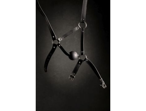 Head Harness with Solid Ball Gag - Black - 11