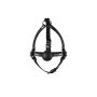 Head Harness with Solid Ball Gag - Black - 9