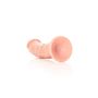 Curved Realistic Dildo with Suction Cup - 7""""/ 18 cm - 7