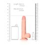 Straight Realistic Dildo  Balls  Suction Cup - 7""""/ 18 cm - 8