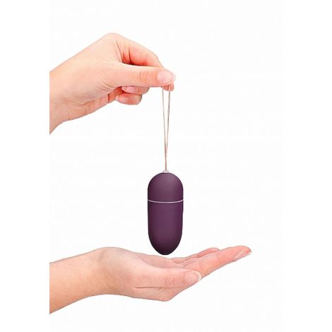 10 Speed Remote Vibrating Egg - Big - Purple - 9