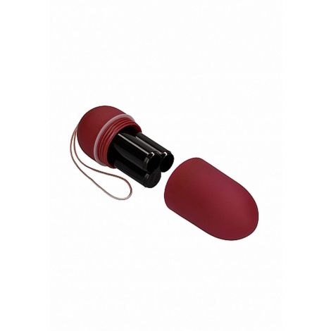 10 Speed Remote Vibrating Egg - Big - Red - 6