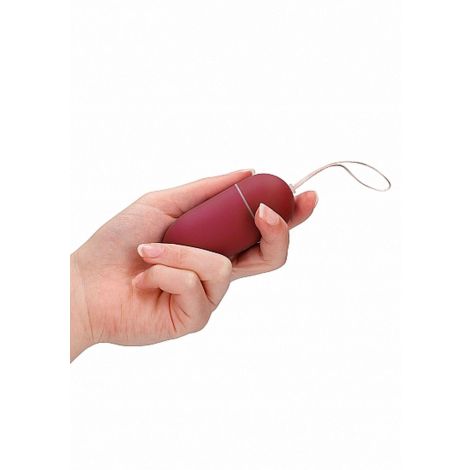 10 Speed Remote Vibrating Egg - Big - Red - 8