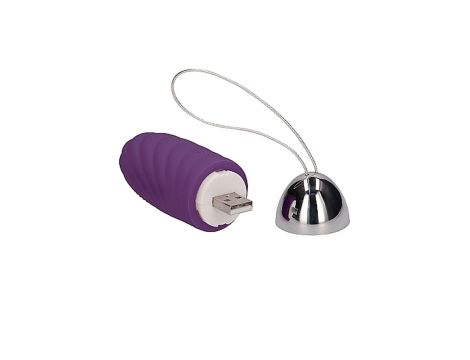 Ethan - Rechargeable Remote Control Vibrating Egg - Purple - 5