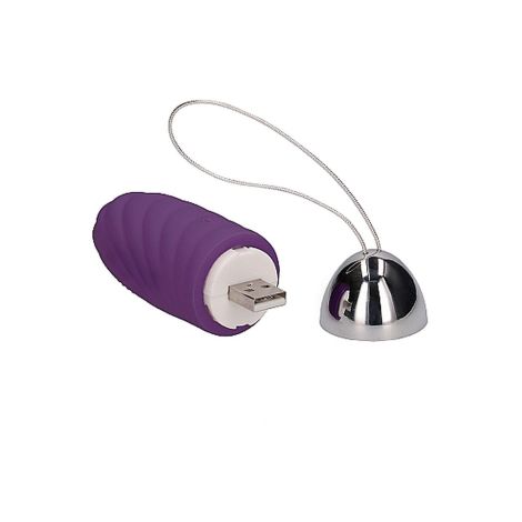 Ethan - Rechargeable Remote Control Vibrating Egg - Purple - 5