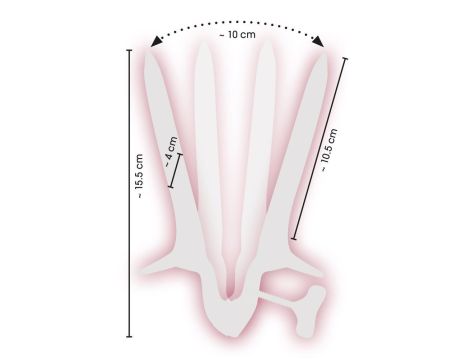 Vaginal Speculum - 7