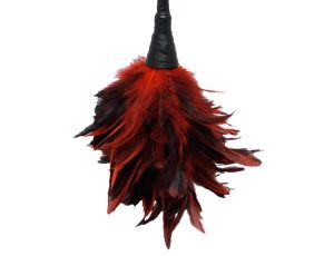 FFS Frisky Feather Duster - image 2