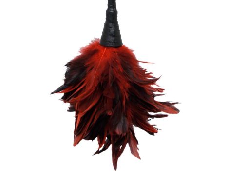 FFS Frisky Feather Duster - 2