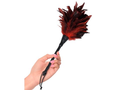 FFS Frisky Feather Duster - 3