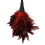 FFS Frisky Feather Duster - 3