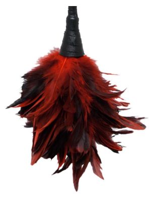 FFS Frisky Feather Duster - image 2