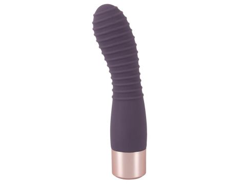 Elegant Vibrator Flexy Vibe - 2