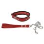 Leather Collar and Leash - 4