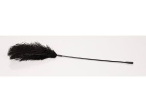 Black feather Bad Kitty - image 2