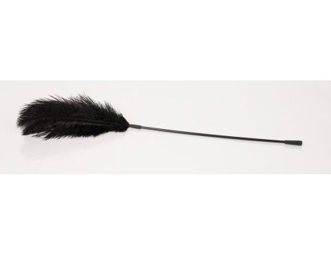 Black feather Bad Kitty - 2