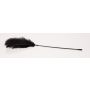 Black feather Bad Kitty - 3