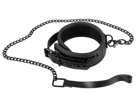 Collar with Leash - 2