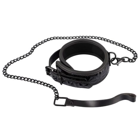 Collar with Leash - 2