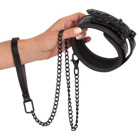 Collar with Leash - 3