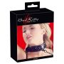 Collar with Leash - 2