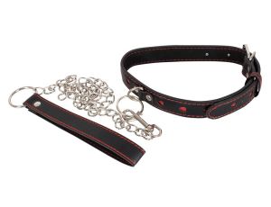 Collar and Leash - image 2