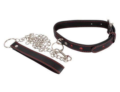 Collar and Leash - 2