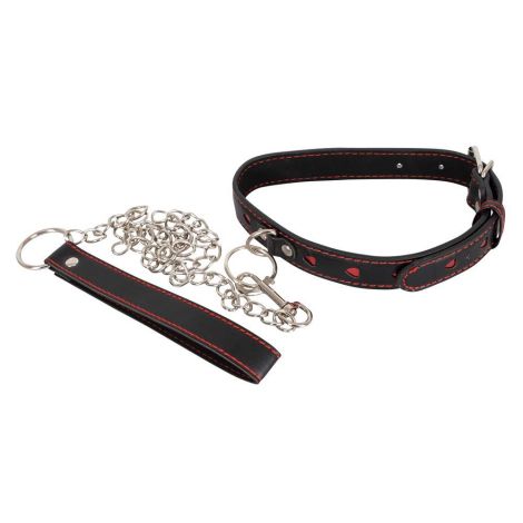 Collar and Leash - 2