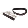 Collar and Leash - 3