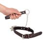 Collar and Leash - 4