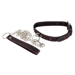 Collar and Leash - image 2