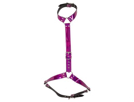 Harness S-L - 2