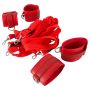 Bad Kitty Bed Restraint Set - 3